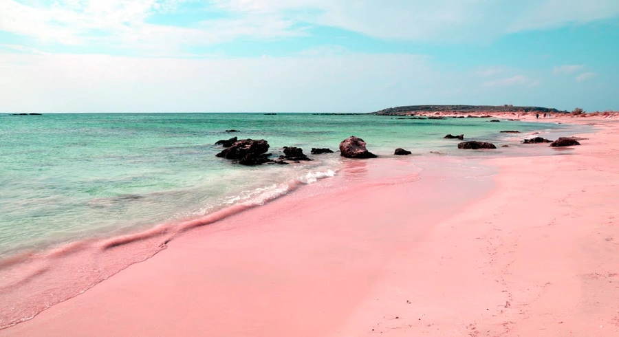 pink hued beach